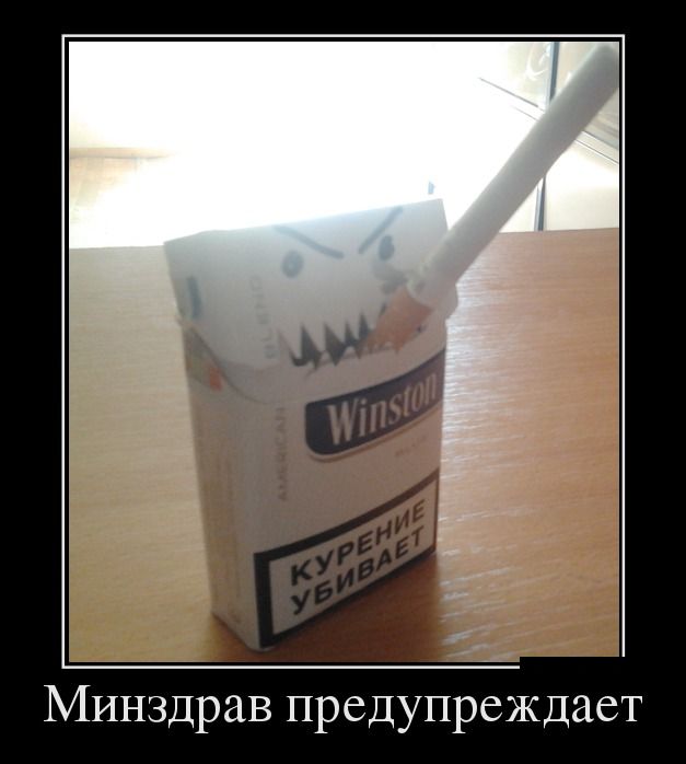 Демотиваторы (30 фото)