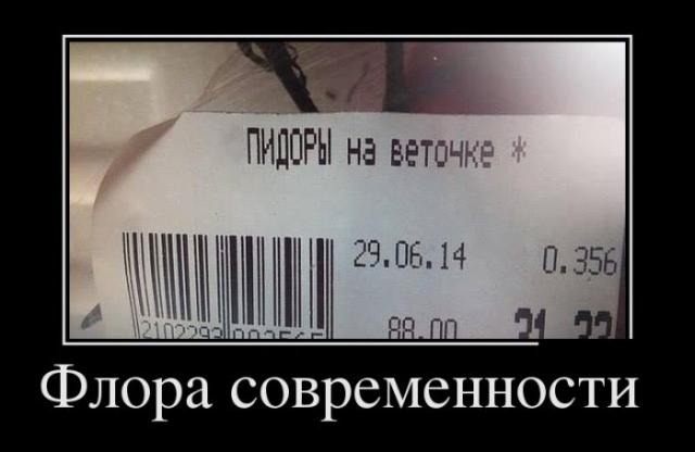 Демотиваторы (30 фото)
