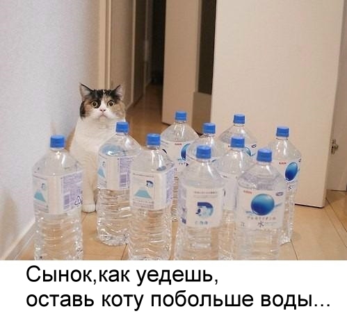 Забавные картинки