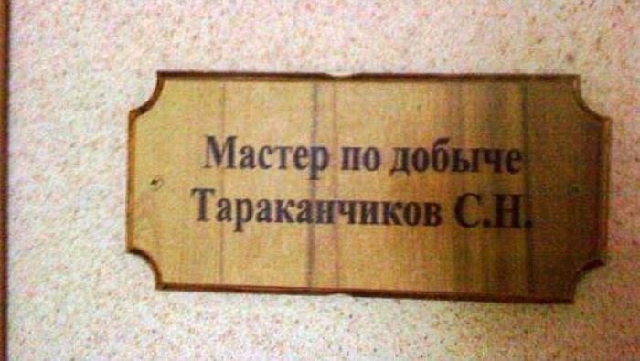Забавные картинки