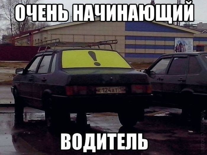 Прикольные картинки (81 фото)