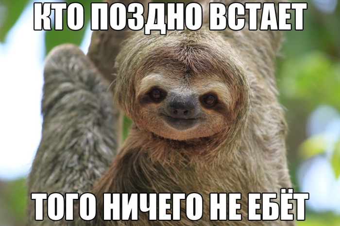 Прикольные картинки (81 фото)