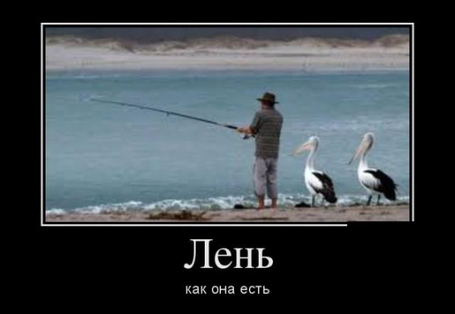 Демотиваторы (30 фото)