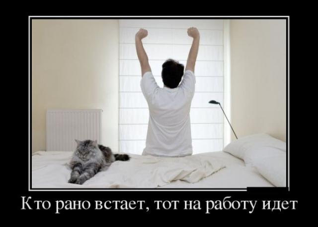 Демотиваторы (30 фото)