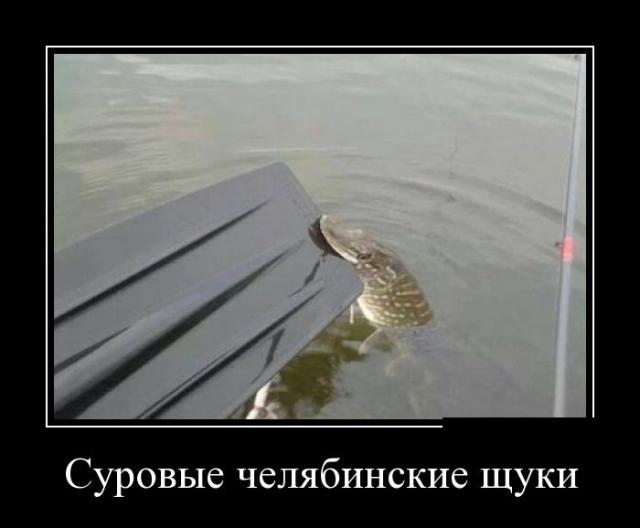 Демотиваторы (30 фото)
