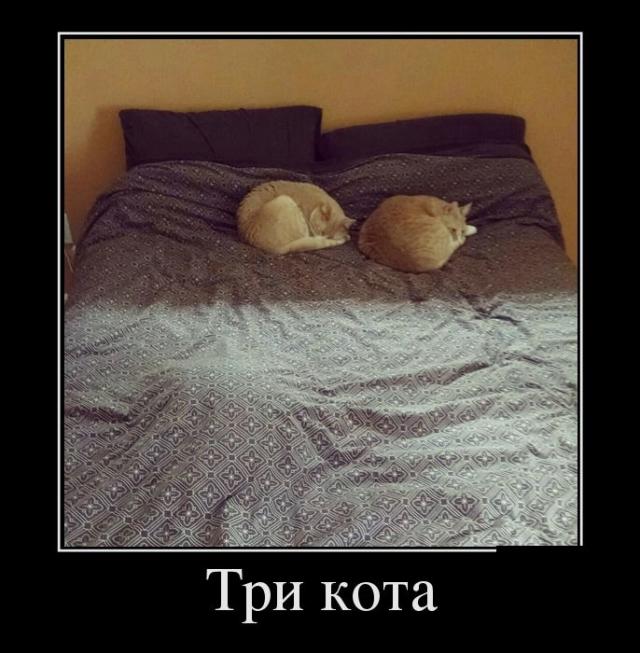 Демотиваторы (30 фото)