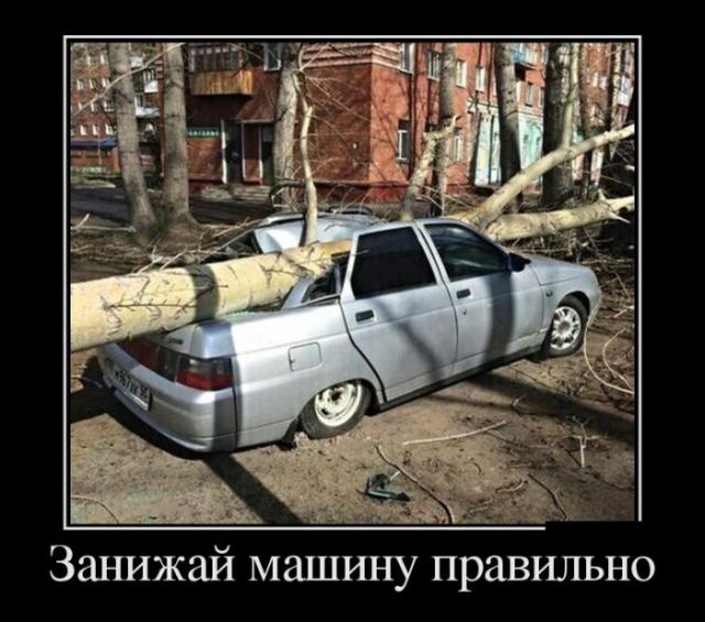 Демотиваторы (30 фото)