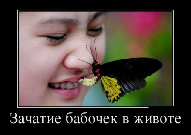 Демотиваторы (30 фото)