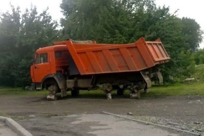 Забавные картинки