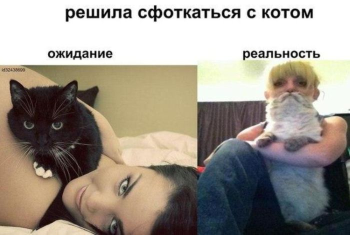Забавные картинки