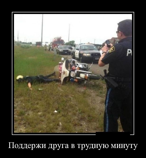 Демотиваторы (30 фото)