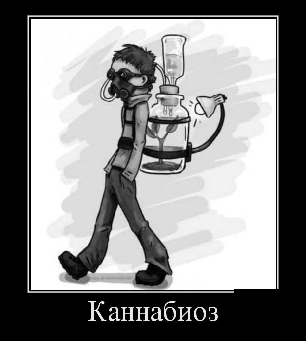 Демотиваторы (30 фото)