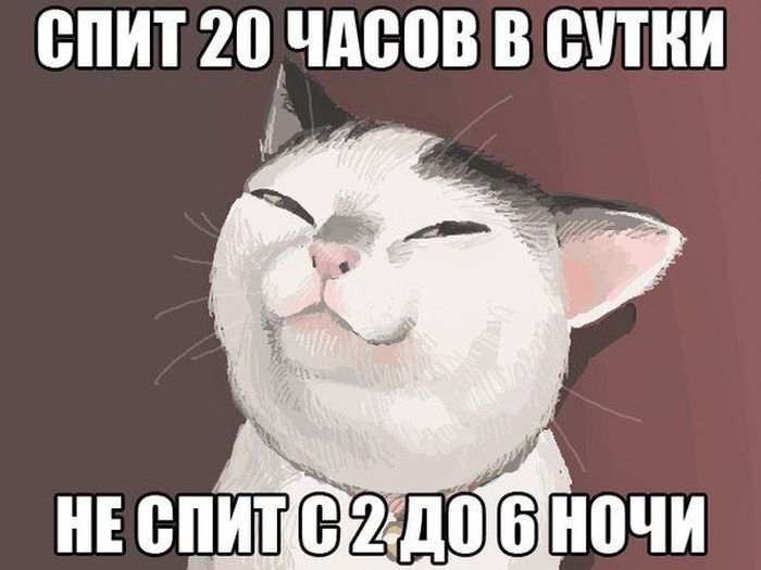Прикольные картинки (79 фото)