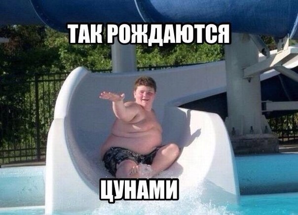 Прикольные картинки (79 фото)