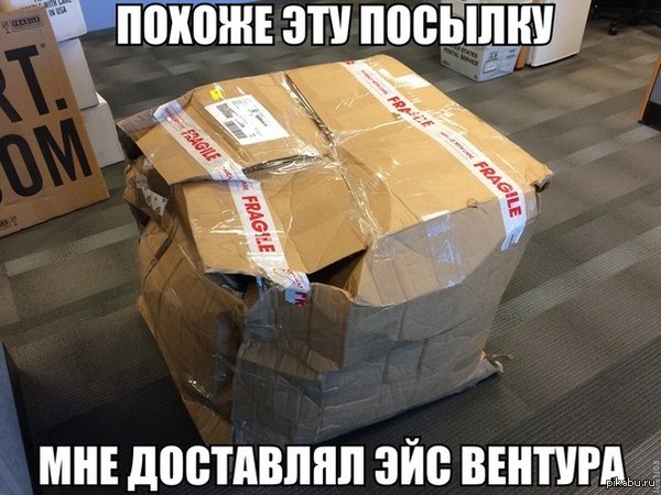 Прикольные картинки (79 фото)