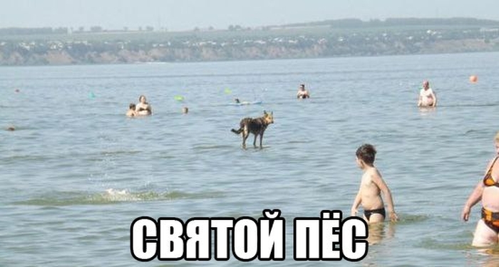 Прикольные картинки (79 фото)