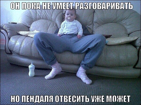Прикольные картинки (117 фото)