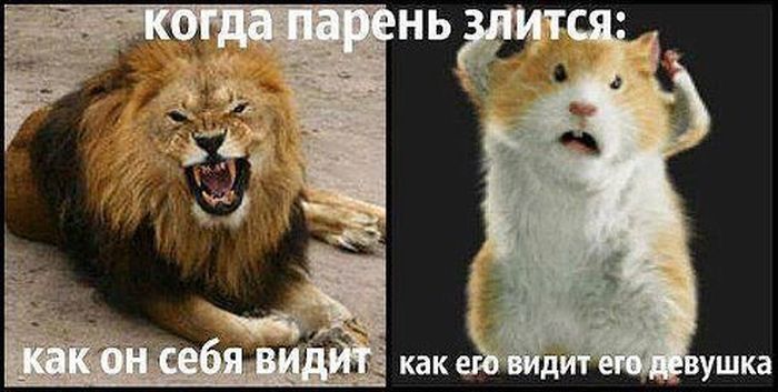 Прикольные картинки (117 фото)