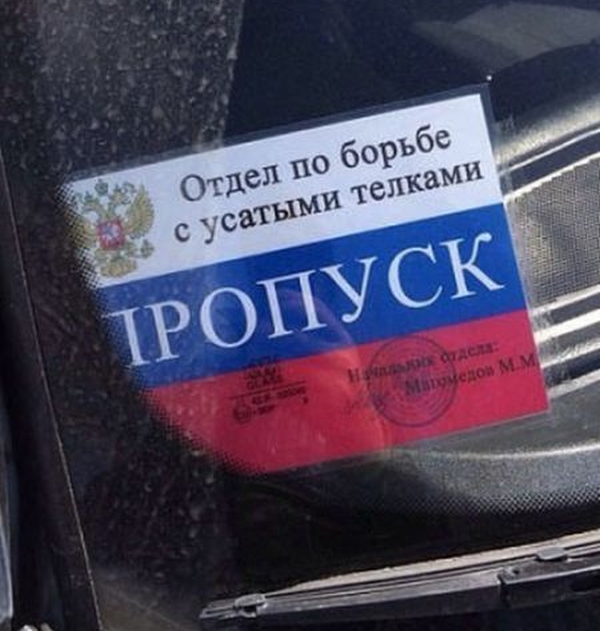 Прикольные картинки (117 фото)