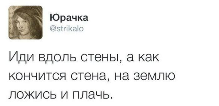 Прикольные картинки (117 фото)