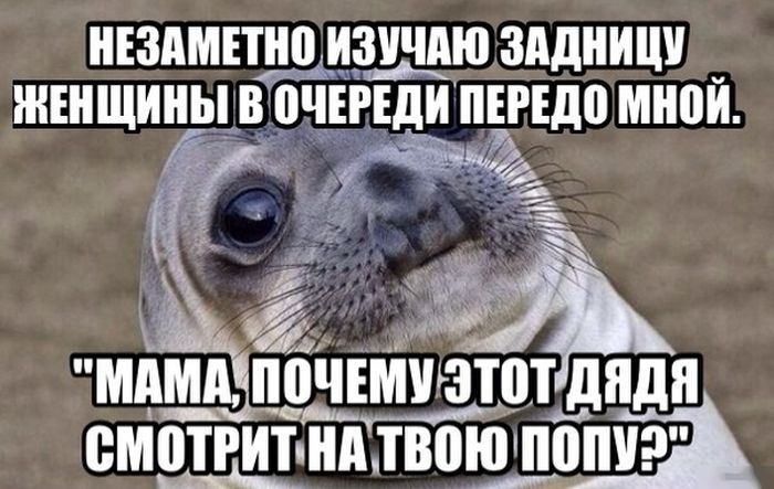 Прикольные картинки (117 фото)