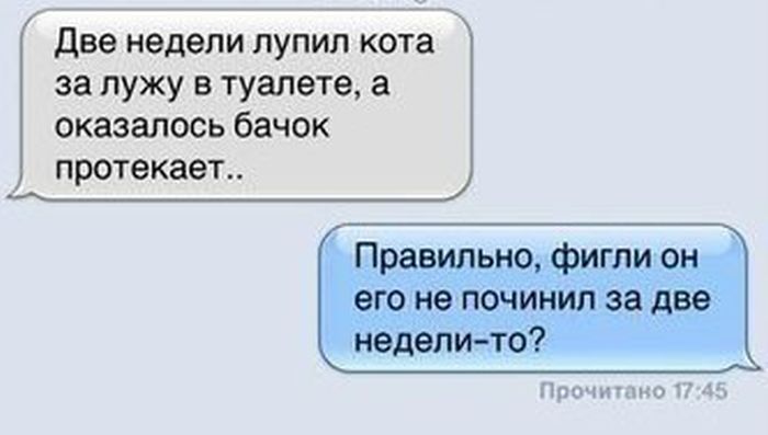 Прикольные картинки (117 фото)