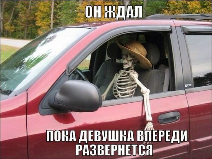 Прикольные картинки (117 фото)