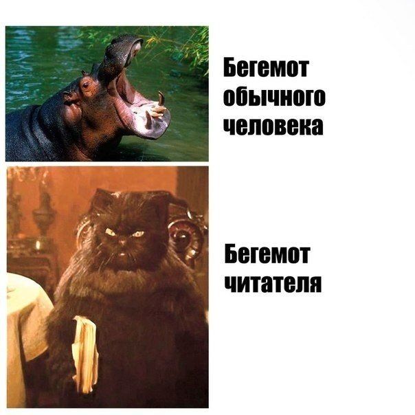 Прикольные картинки (117 фото)