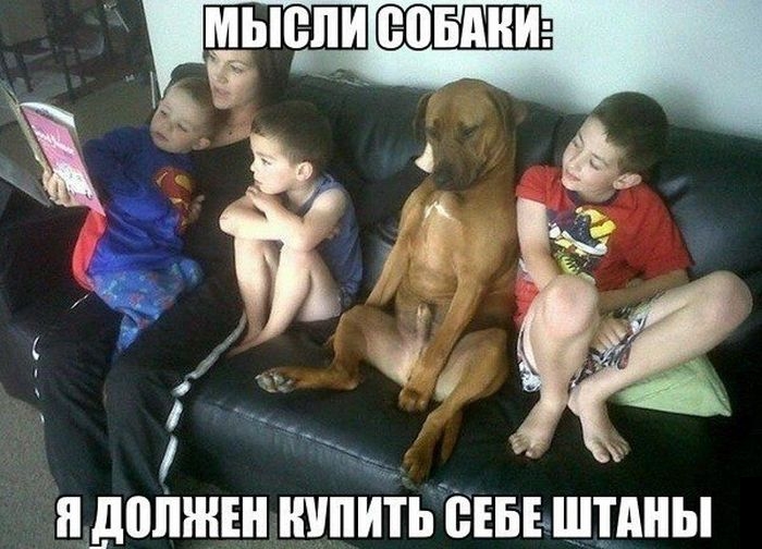 Прикольные картинки (117 фото)