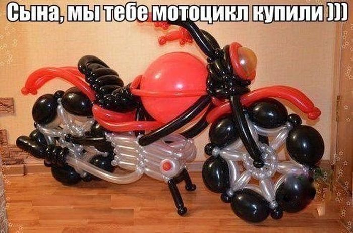 Прикольные картинки (117 фото)