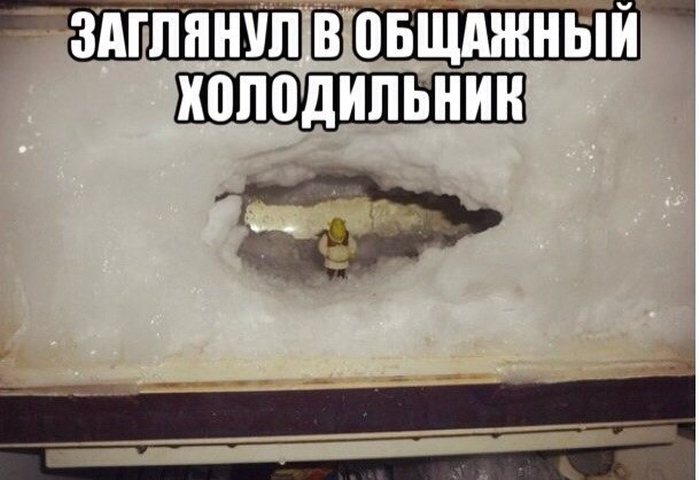 Прикольные картинки (75 фото)