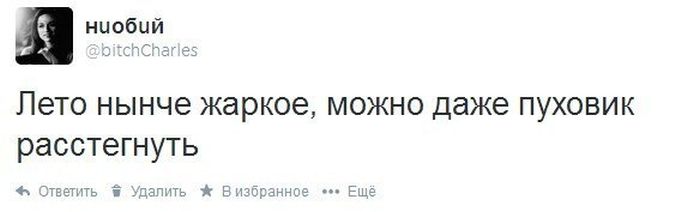 Прикольные картинки (75 фото)