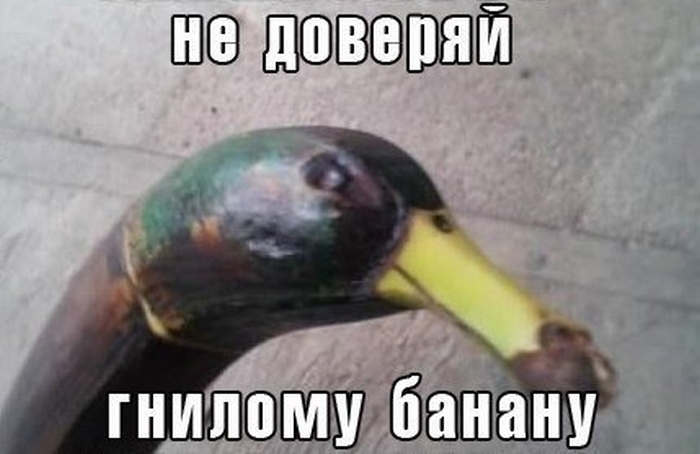 Прикольные картинки (75 фото)