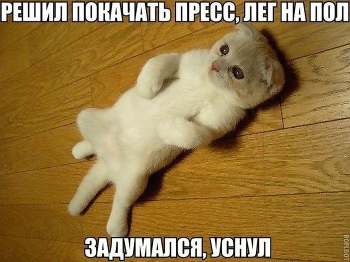 Прикольные картинки (75 фото)