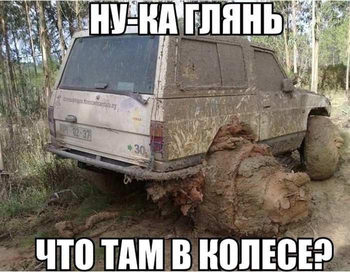 Прикольные картинки (75 фото)