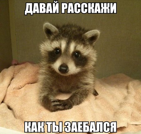 Прикольные картинки (75 фото)