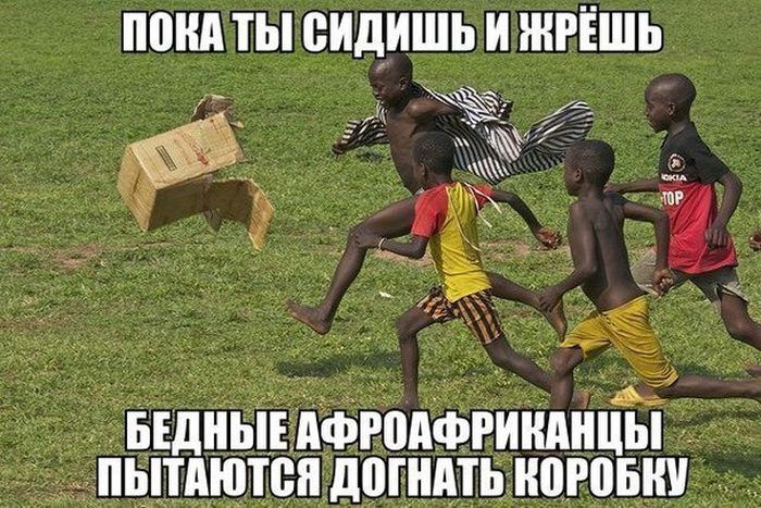 Прикольные картинки (75 фото)