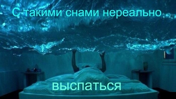 Прикольные картинки (75 фото)
