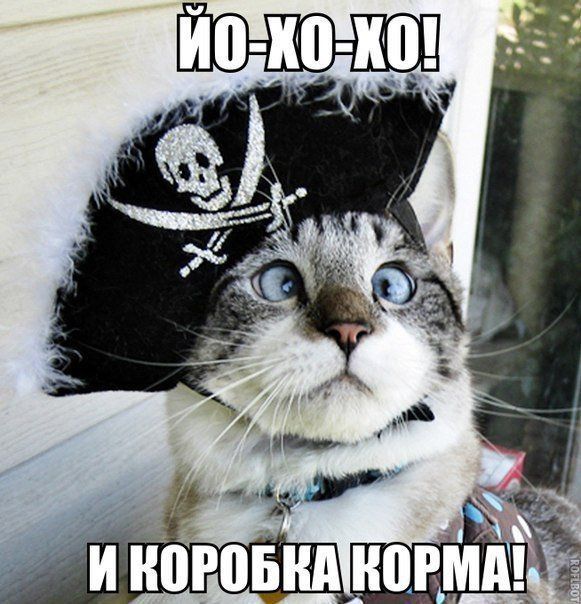 Забавные картинки