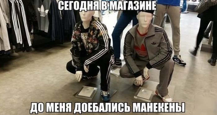 Прикольные картинки (92 фото)