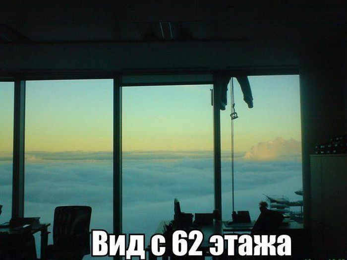 Прикольные картинки (92 фото)