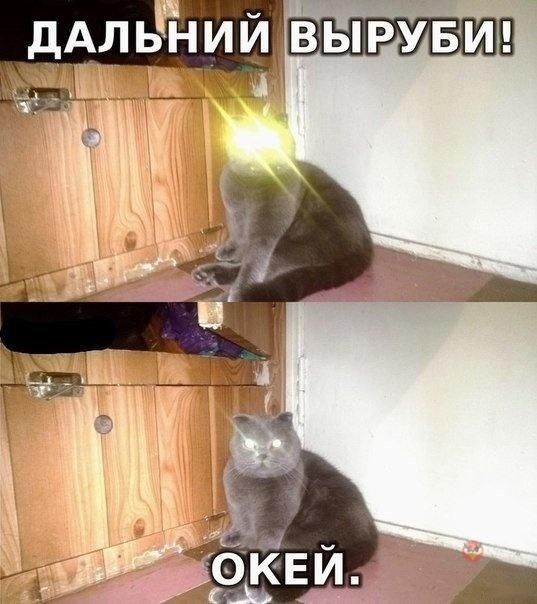 Прикольные картинки (92 фото)
