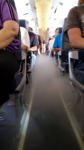 Прикольные картинки (92 фото)