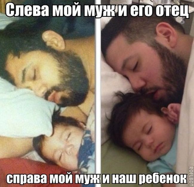 Прикольные картинки (92 фото)