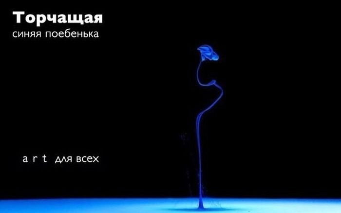 Прикольные картинки (92 фото)