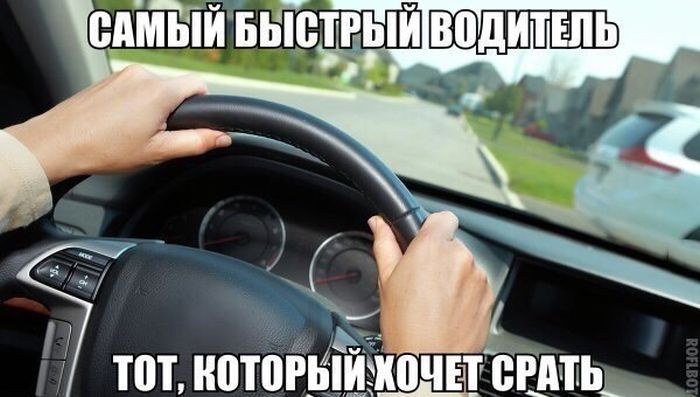 Прикольные картинки (92 фото)