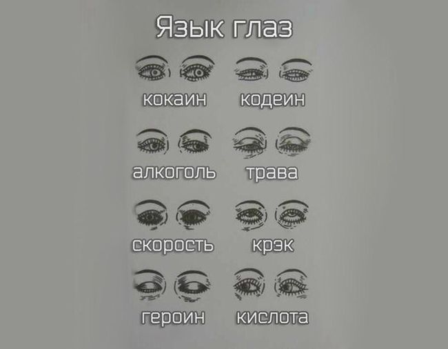 Прикольные картинки (92 фото)