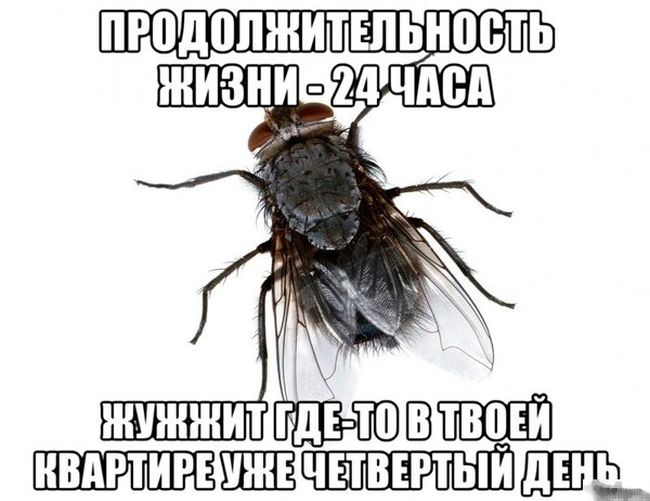 Прикольные картинки (92 фото)