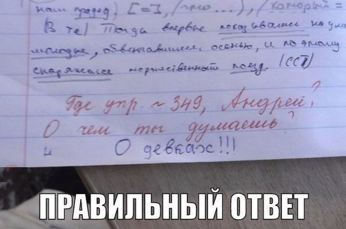 Прикольные картинки (92 фото)
