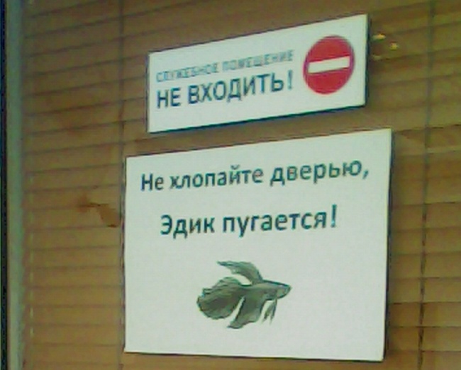 Забавные надписи и объявления (17 фото)